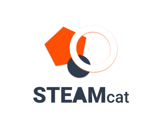 steam cat